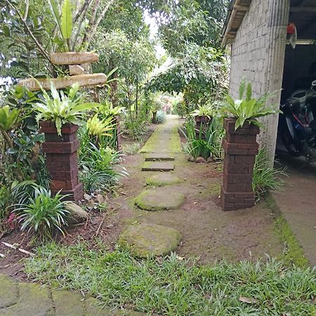 Bali mountain forest cabin Penebel Exterior foto