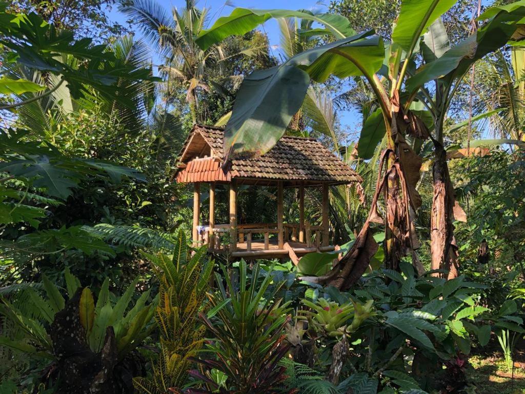 Bali mountain forest cabin Penebel Exterior foto