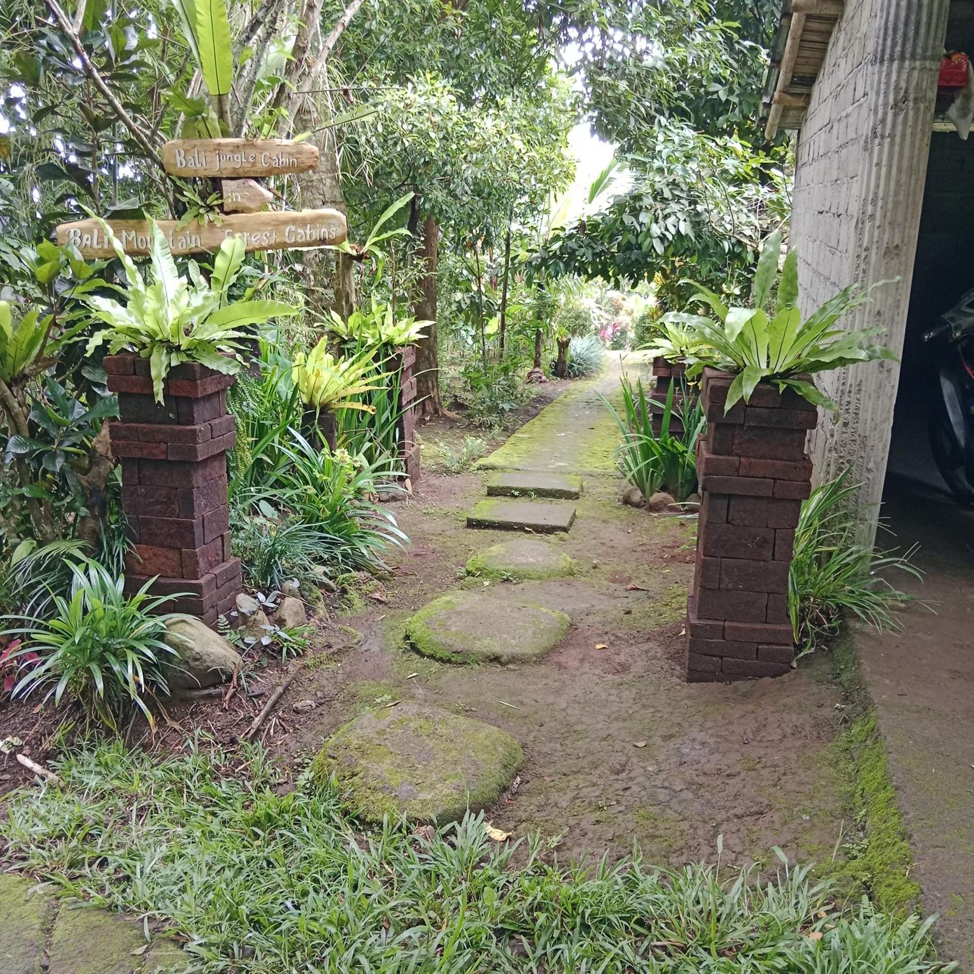 Bali mountain forest cabin Penebel Habitación foto