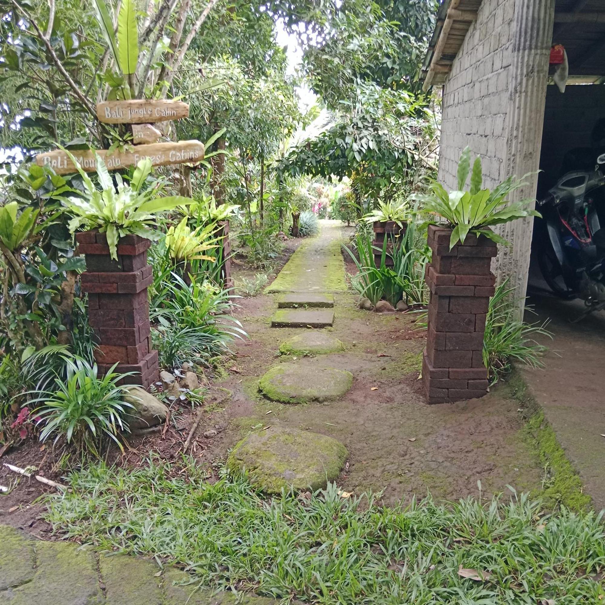 Bali mountain forest cabin Penebel Exterior foto