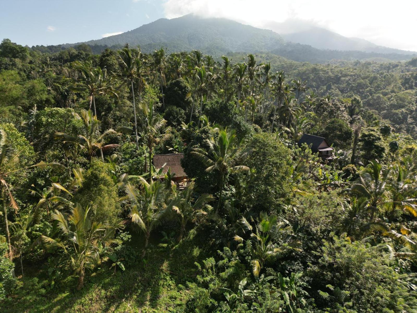 Bali mountain forest cabin Penebel Habitación foto