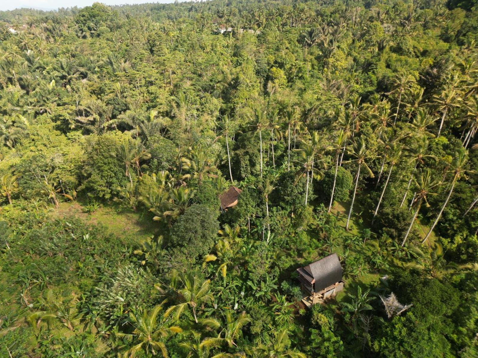 Bali mountain forest cabin Penebel Habitación foto