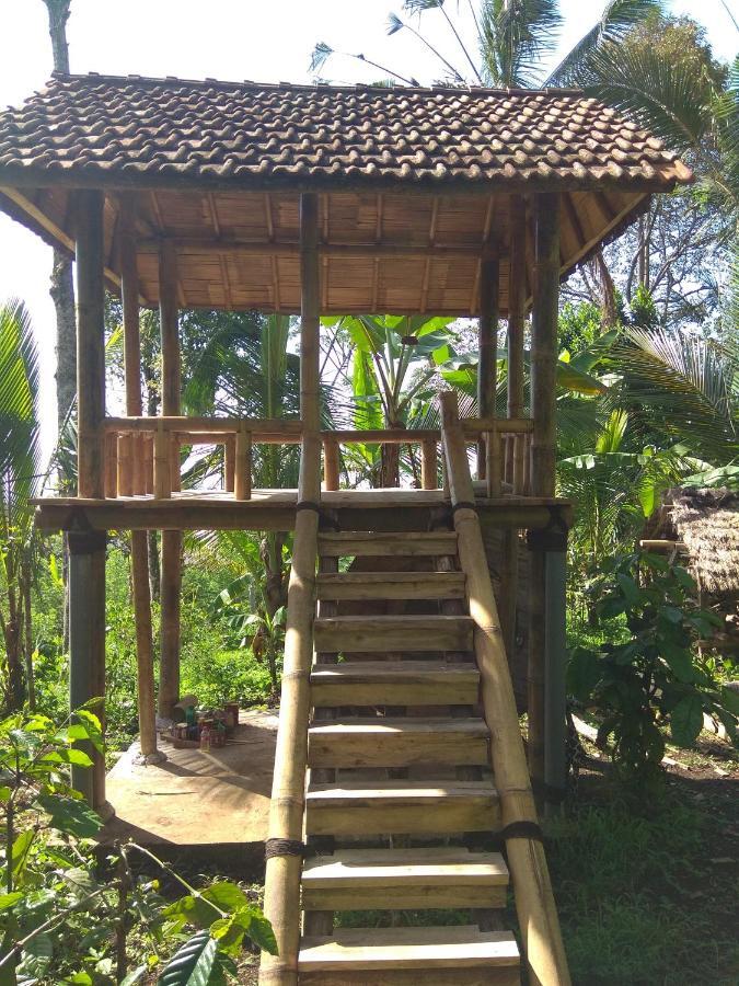 Bali mountain forest cabin Penebel Habitación foto